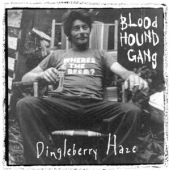 Dingleberry Haze Album Cover