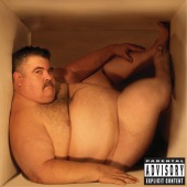 Hefty Fine (US Version) Album Cover